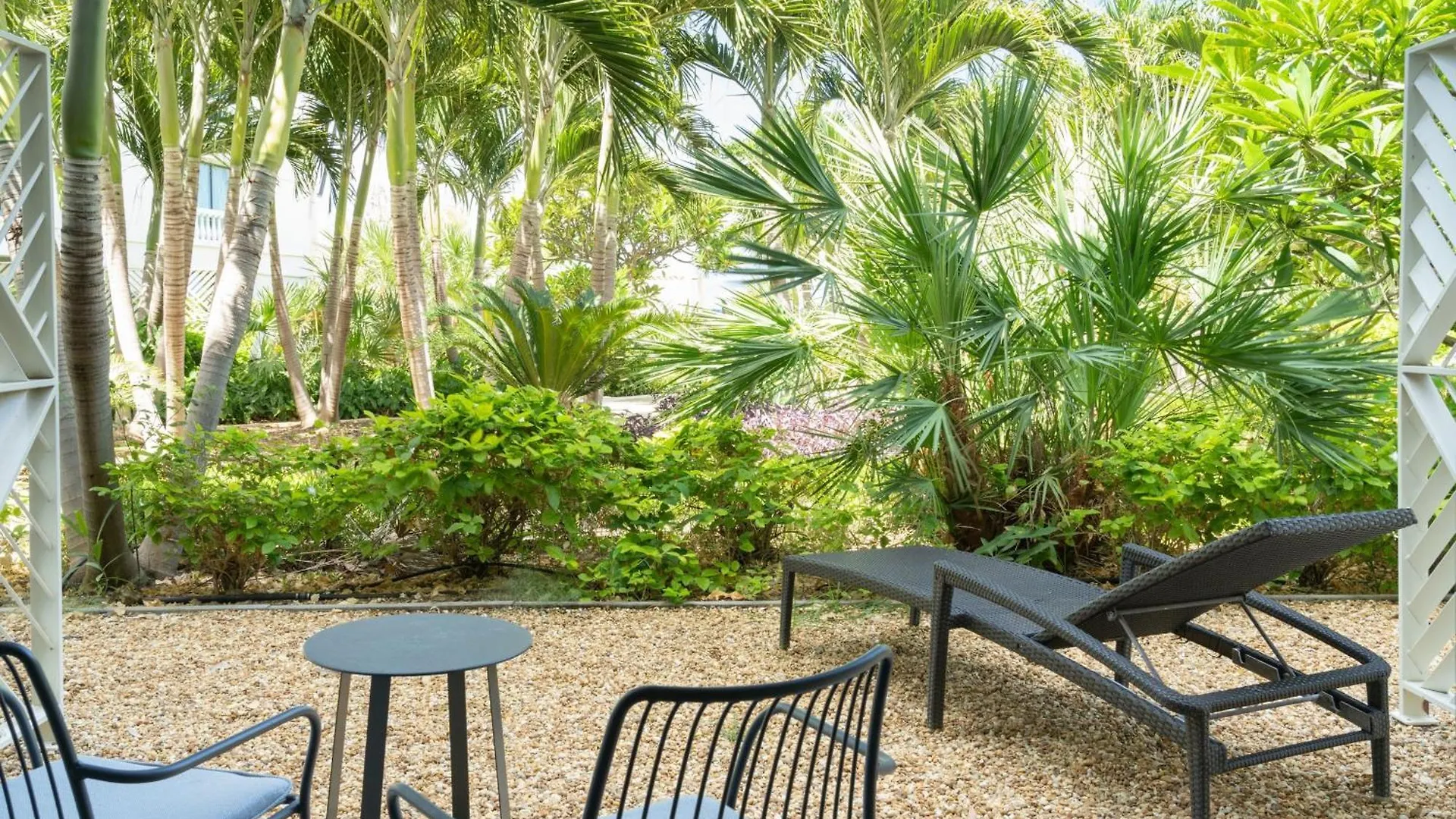 Curacao Marriott Beach Resort Willemstad