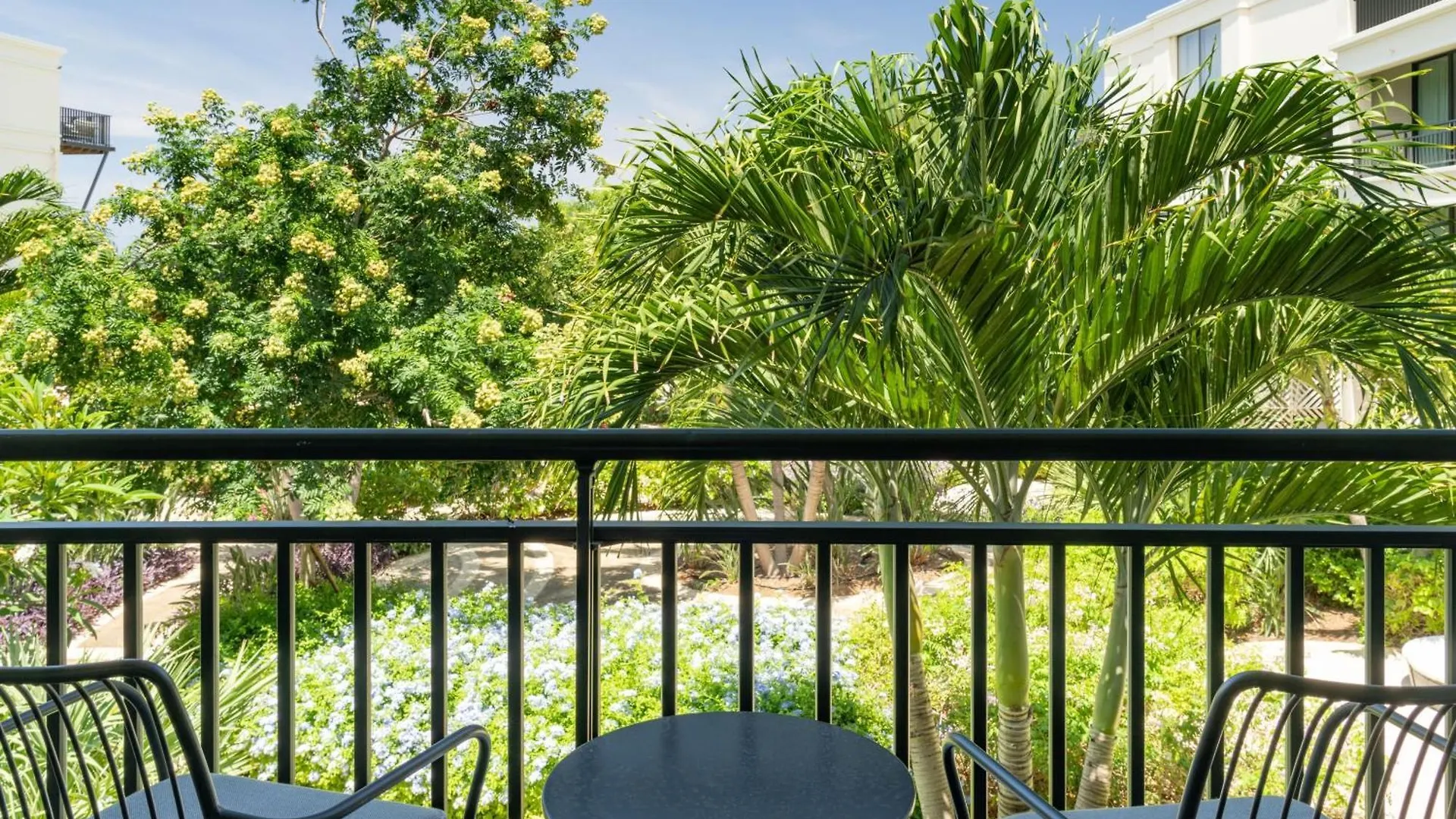 *****  Curacao Marriott Beach Resort Willemstad Curacao