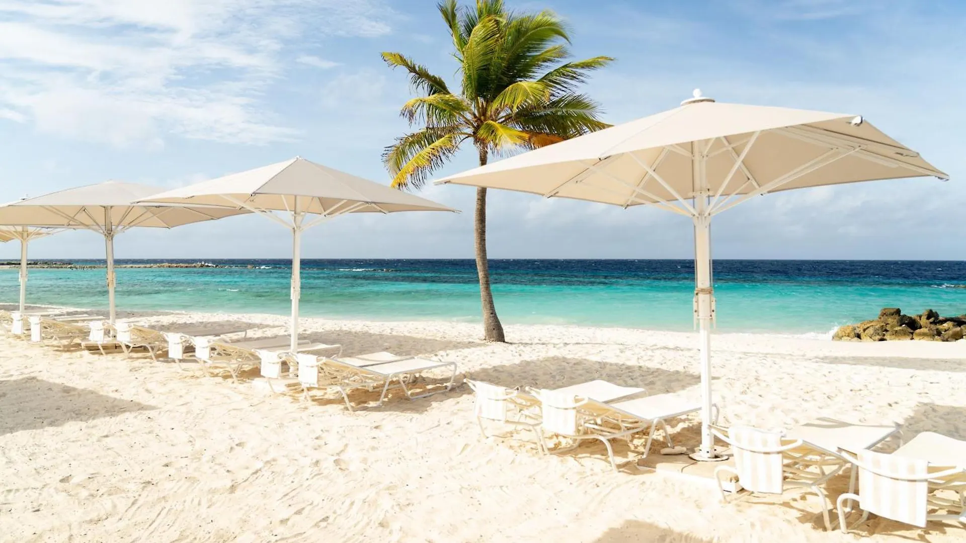 Curacao Marriott Beach Resort Willemstad 5*,  Curacao